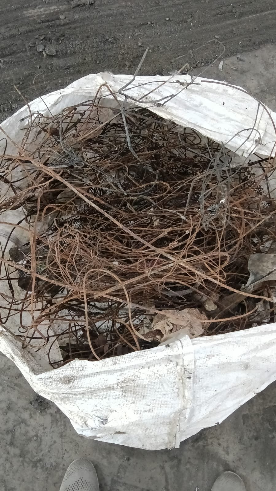 Metal recovered from the ash