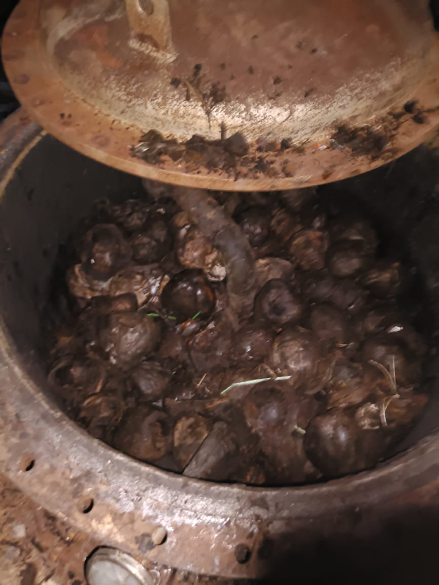Coconut Shell into Pyrolysis Chamber