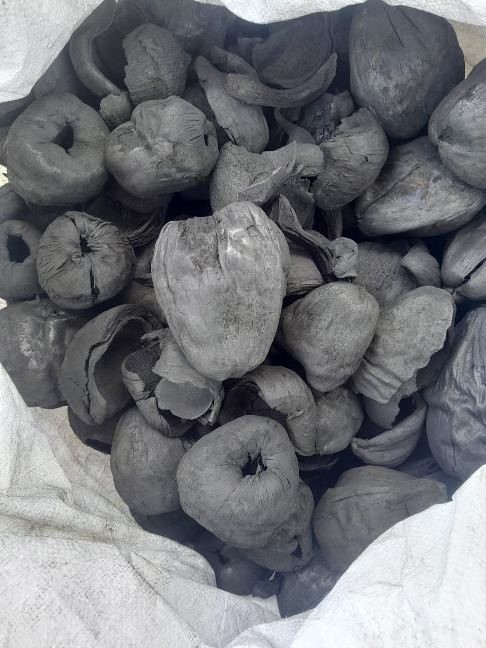 Coconut Shell Biochar