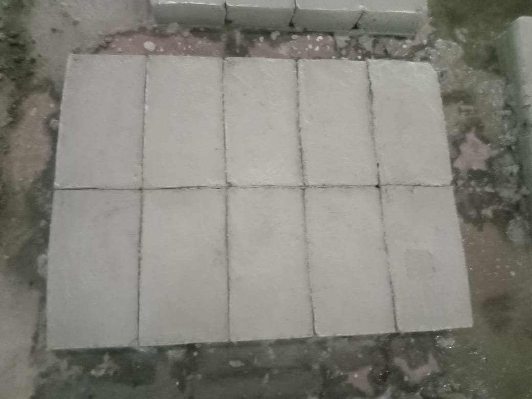 Fly Ash Bricks